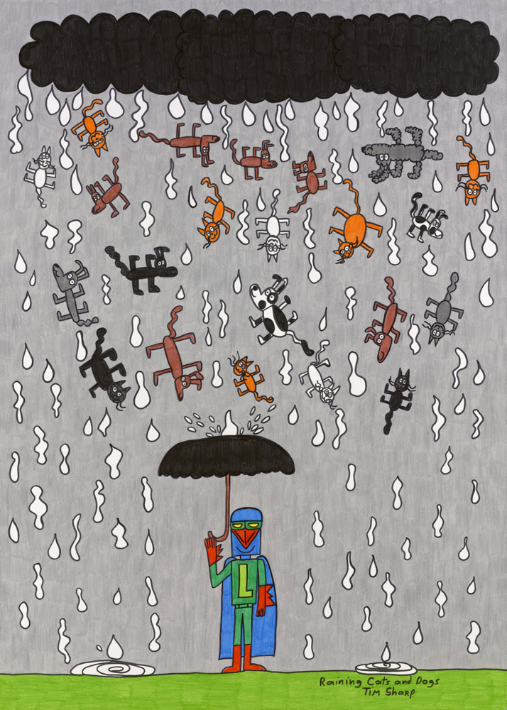 TSHA_043_Raining Cats and Dogs